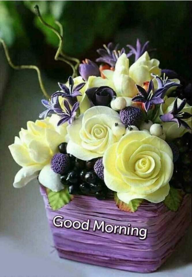 webwith samo clients reviews (3)